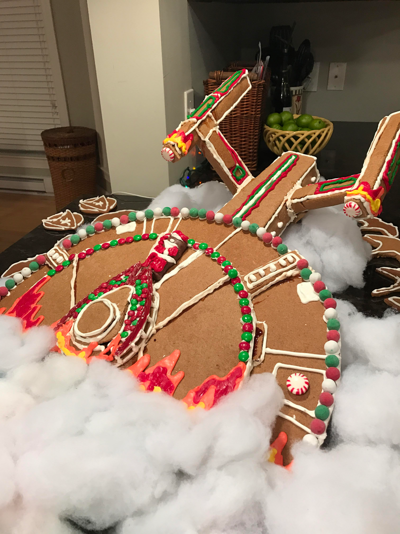 Starship Gingerprise (Screenshot: Reddit)